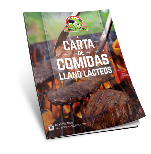 Llano Lacteos Villa Carola,  Monterrey, Casanare