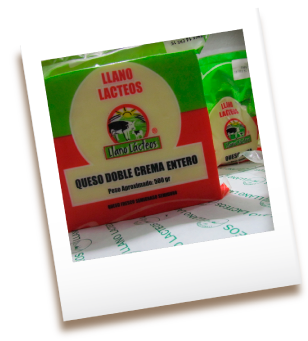 empresa Llano Lacteos