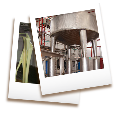 empresa Llano Lacteos