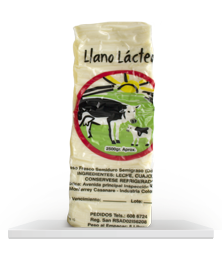 Queso doble crema Llano Lacteos