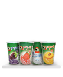 Yogures Llano Lacteos